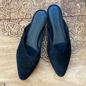 Everlane flat black suede slides.